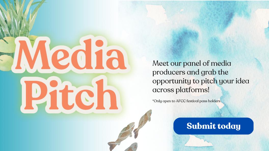 Media Pitch